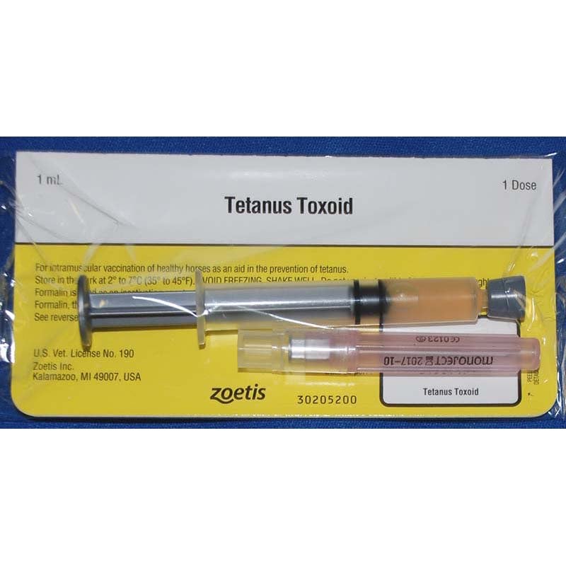 Tetanus Toxoid