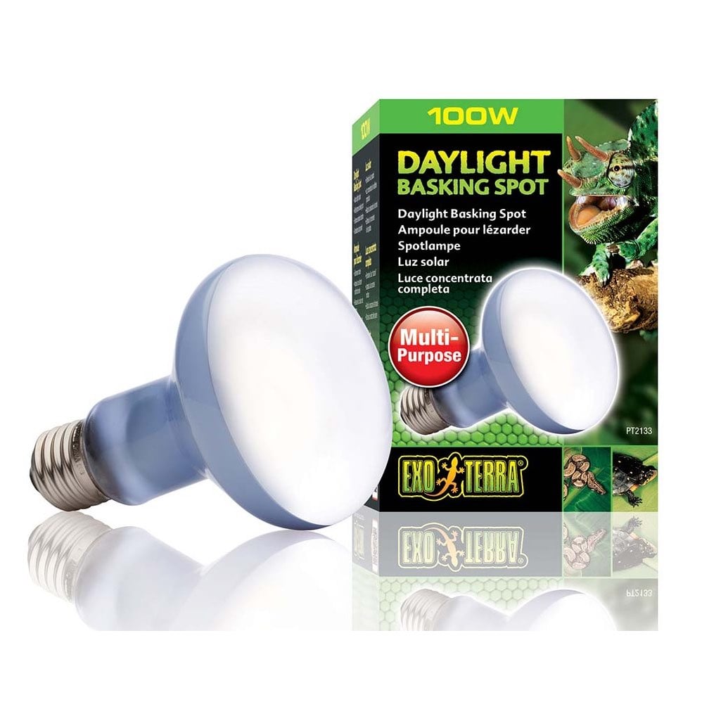 Daylight basking spot R25/100W