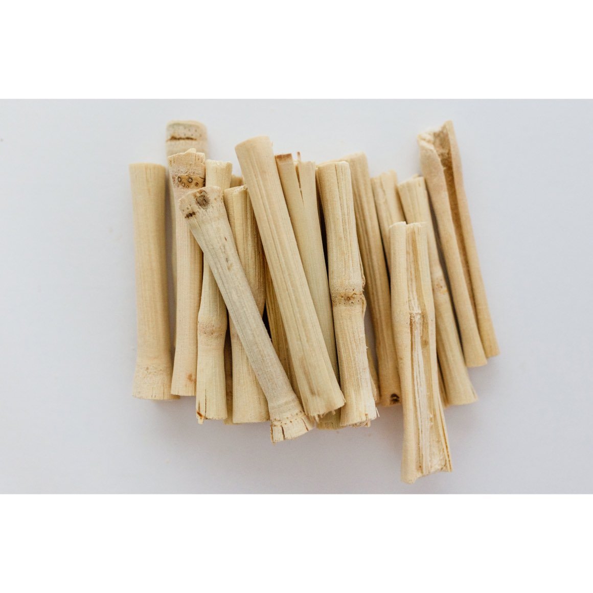 Chew Toys for Small Animals