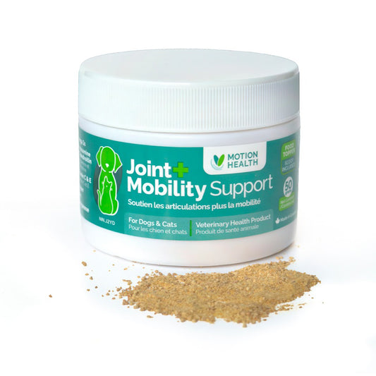 Joint + Mobility Support GLM powder for cats and dogs