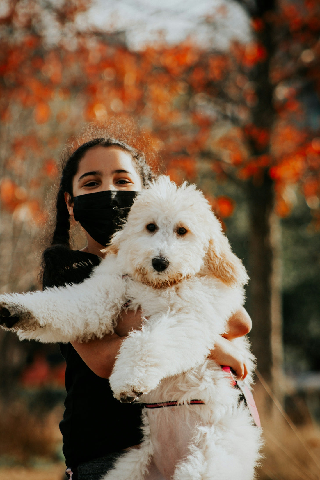 woman in black long sleeve shirt carrying white long coated dog