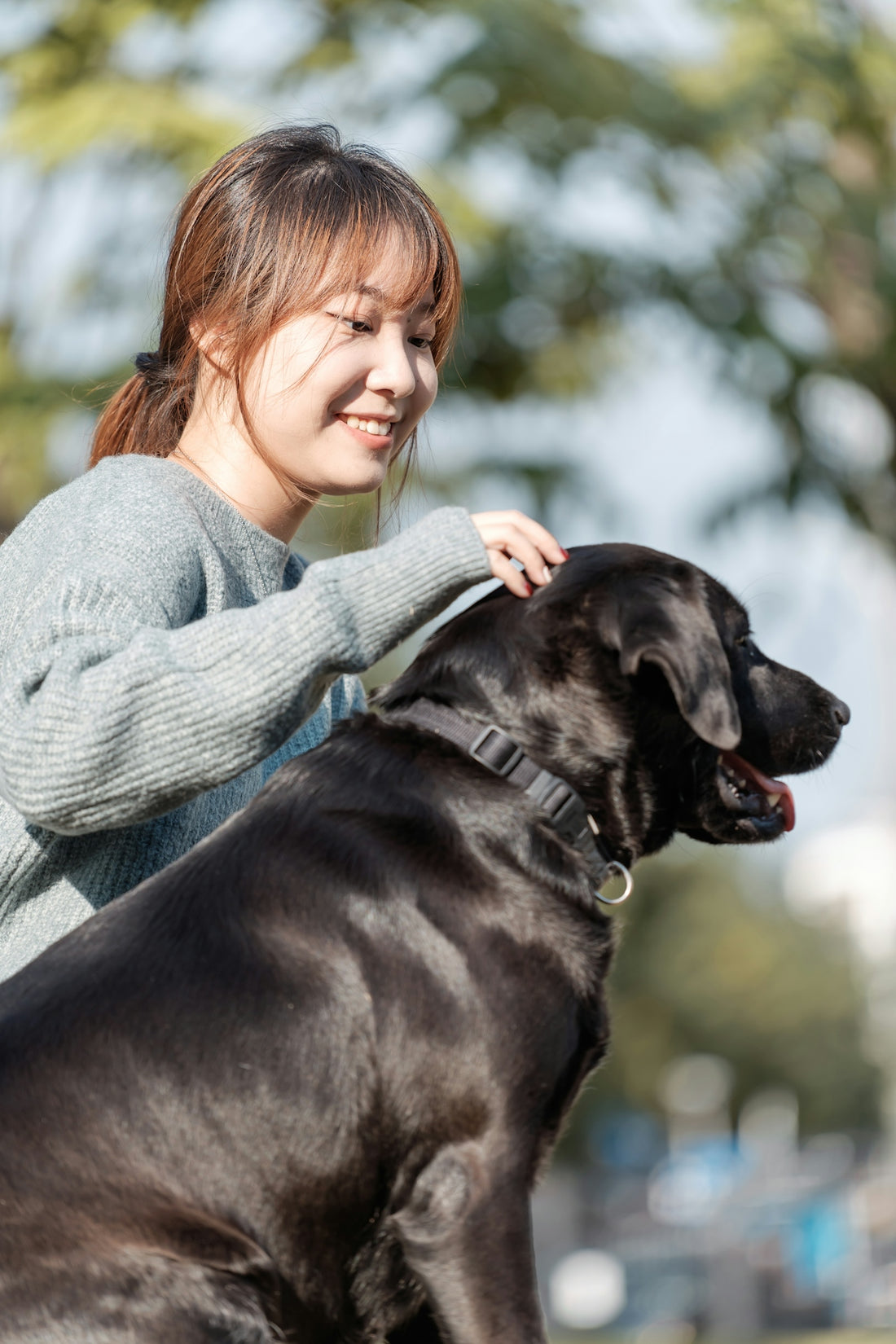 a woman is petting a large black dog