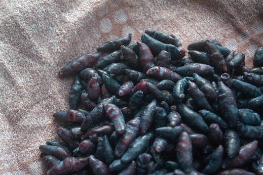 a pile of black beans sitting on top of a table