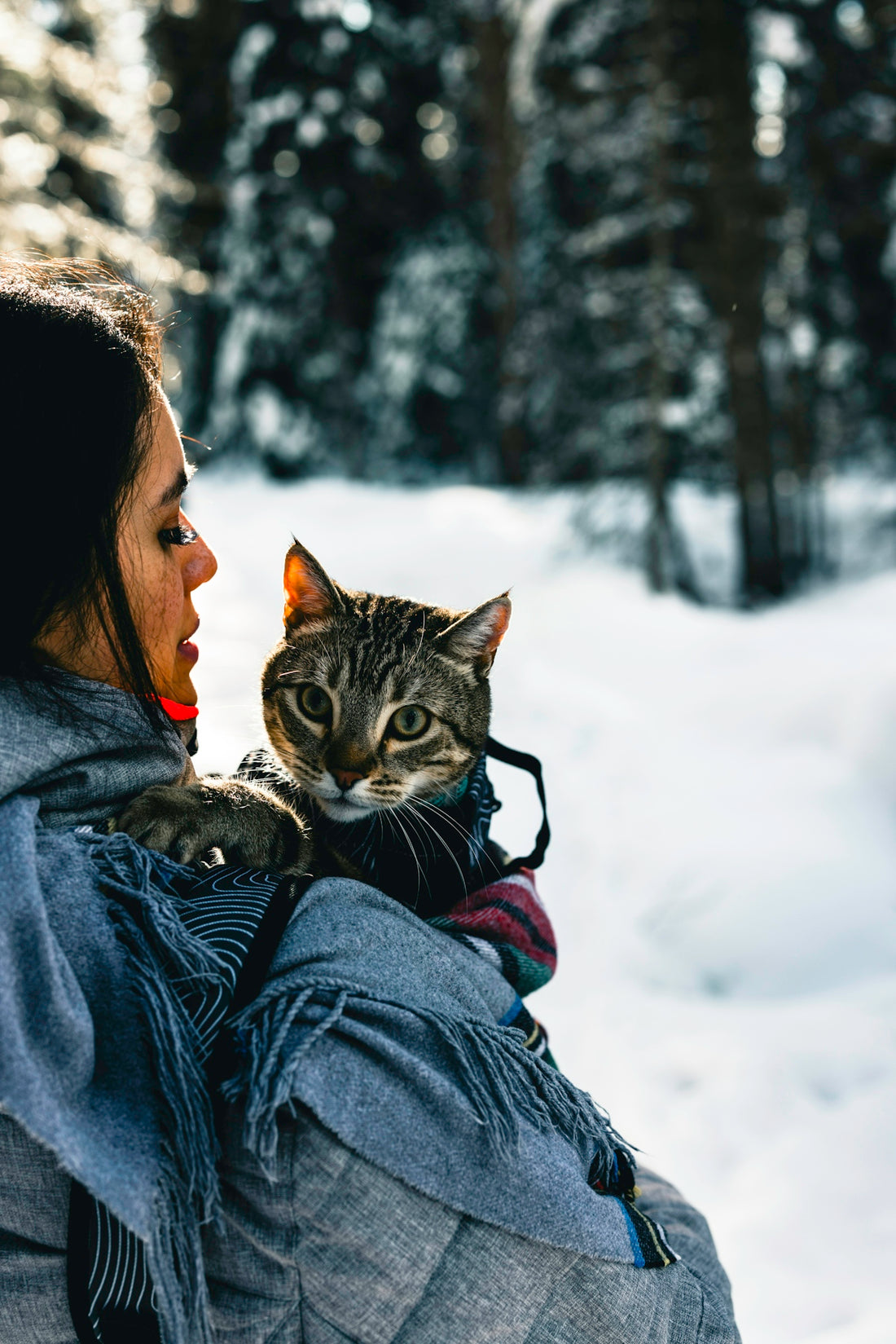 a woman holding a cat in her arms in the snow