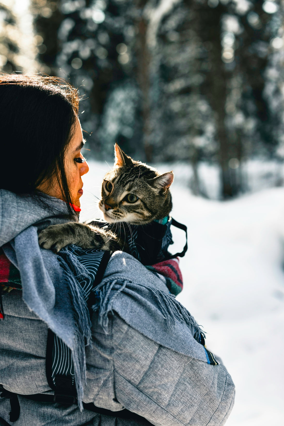 a woman holding a cat in her arms in the snow