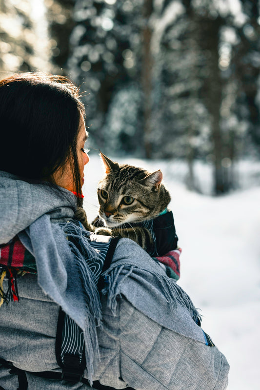 a woman holding a cat in her arms in the snow