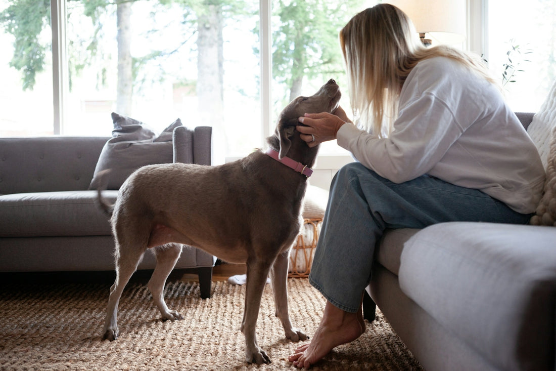 Woman pets her dog inside a home