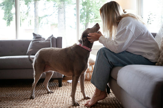 Woman pets her dog inside a home