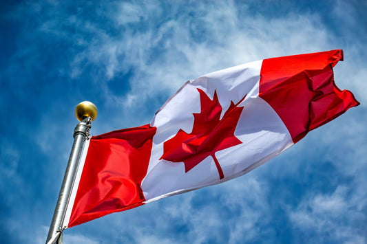 The canadian flag waves proudly against the sky