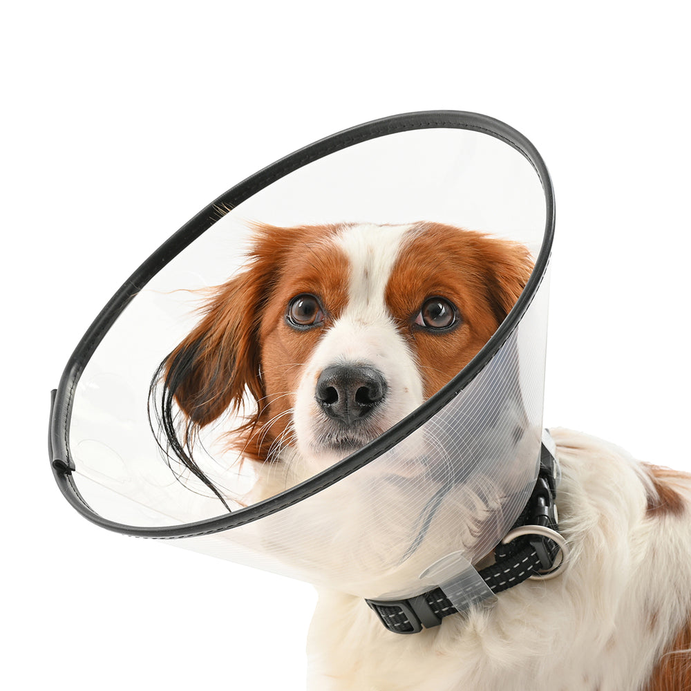 Buster Comfort collar