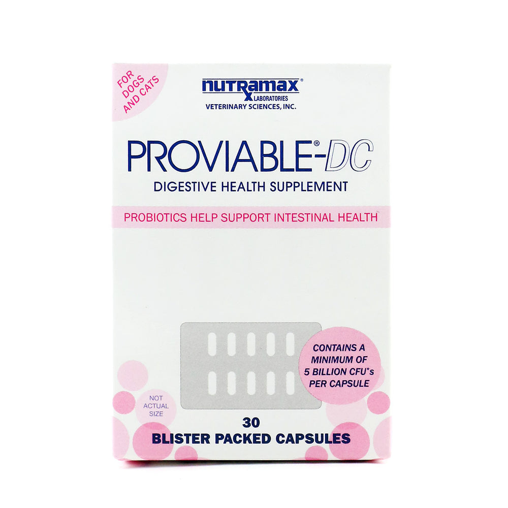 Proviable-DC