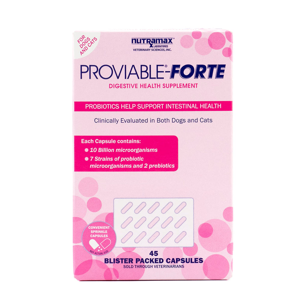 Proviable Forte capsules for cats and all-size dogs