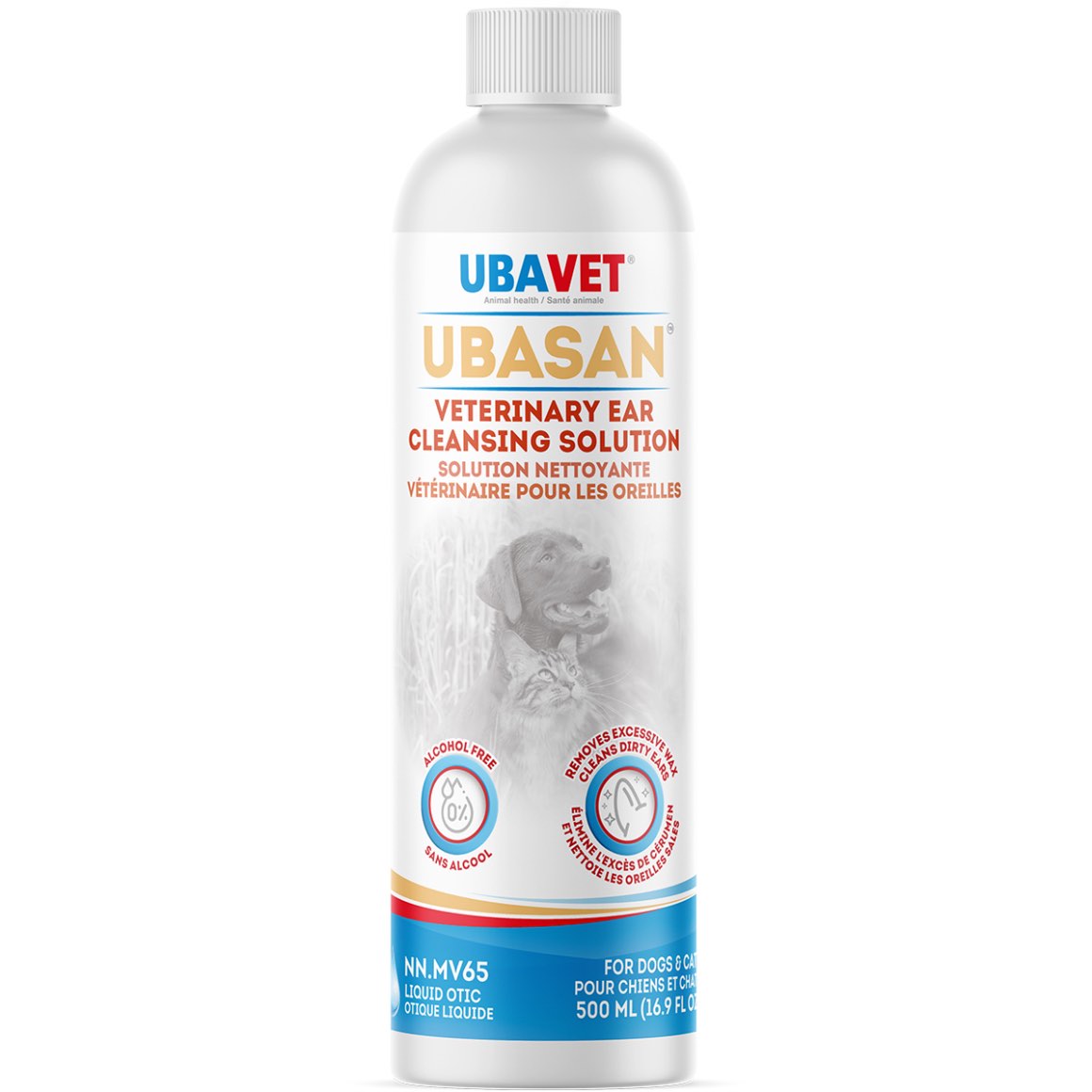 Ubasan
