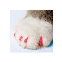 Softpaws nail cap kit for cat