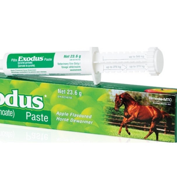Exodus