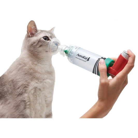 AeroKat inhalation chamber for cat