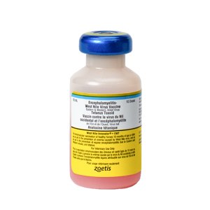 West Nile Innovator + EWT