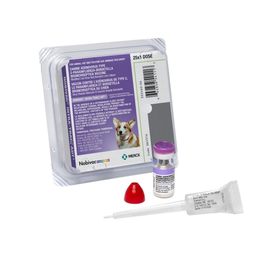 Nobivac Canine Intra-Trac3 ADT