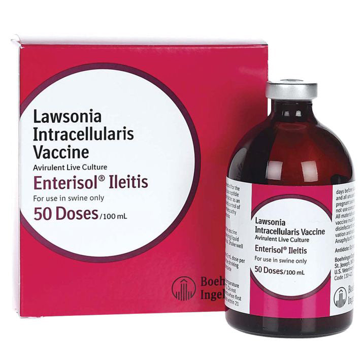Enterisol Ilteitis
