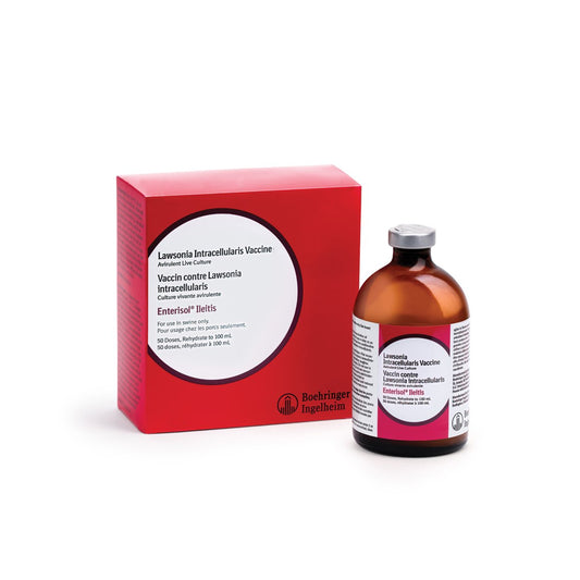 Enterisol Ilteitis