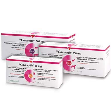 Clavaseptin chewable tablet for dogs