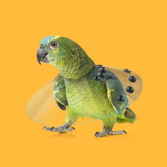 Saf-T-Shield Collar for birds