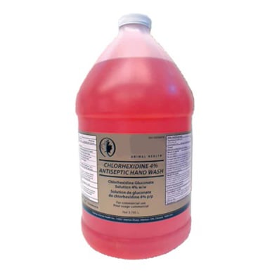 Chlorhexidine antiseptic hand wash
