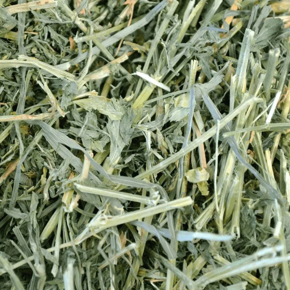 Alfalfa Hay