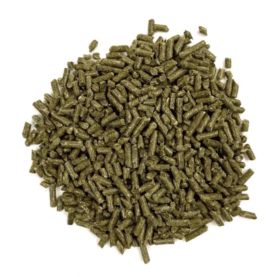 Oxbow Essentials Adult Rabbit Food – Timothy Hay Rabbit Pellets ...