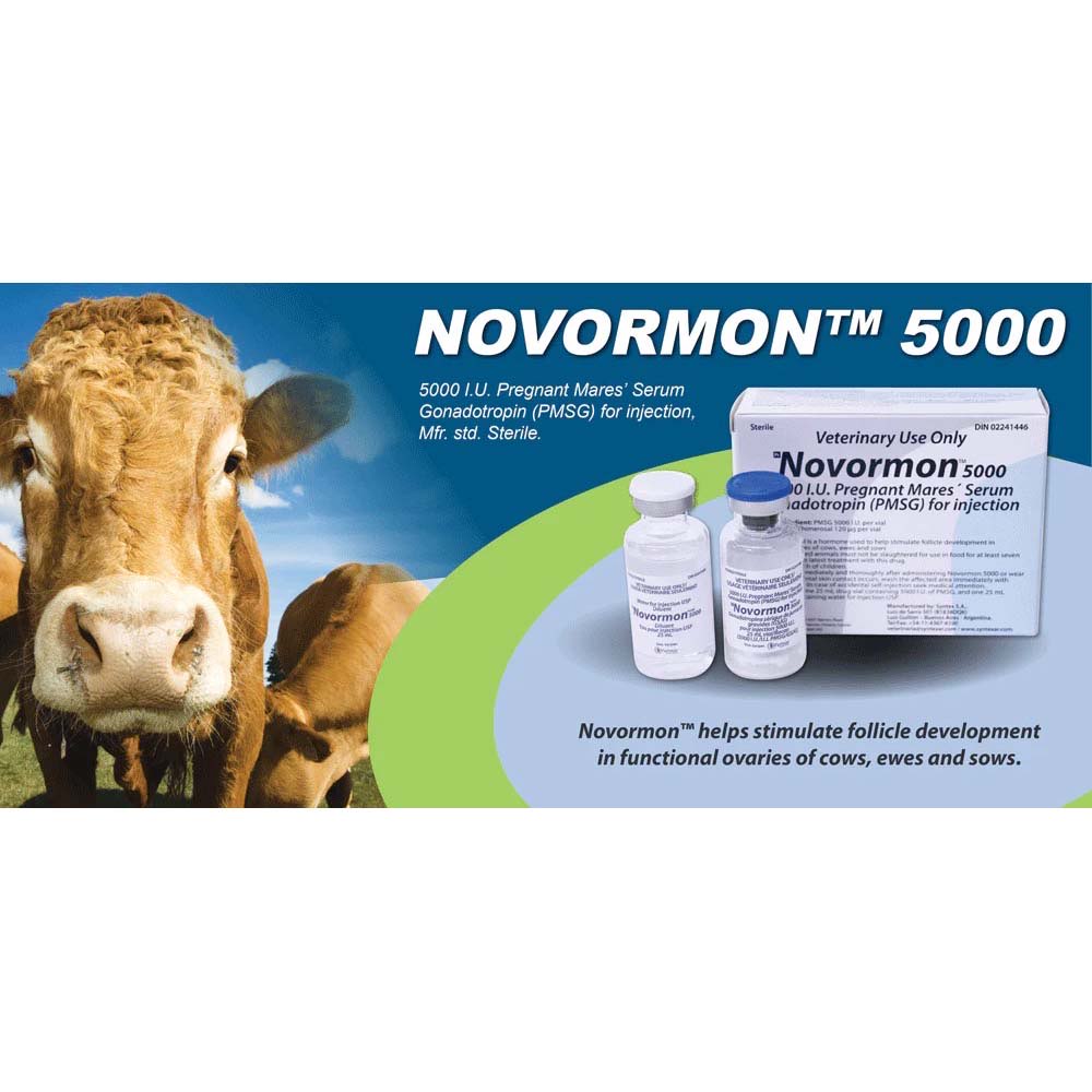 Novormon