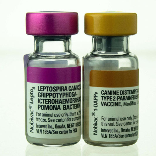 Nobivac Canine 1-DAPPv + Lepto 4