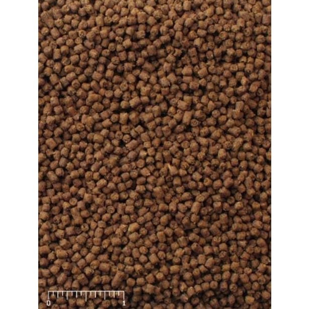 Mazuri insectivore diet