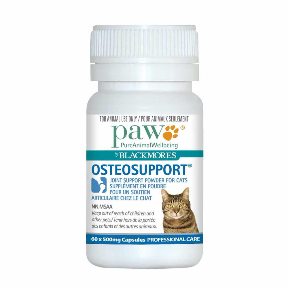 Osteosupport for cats