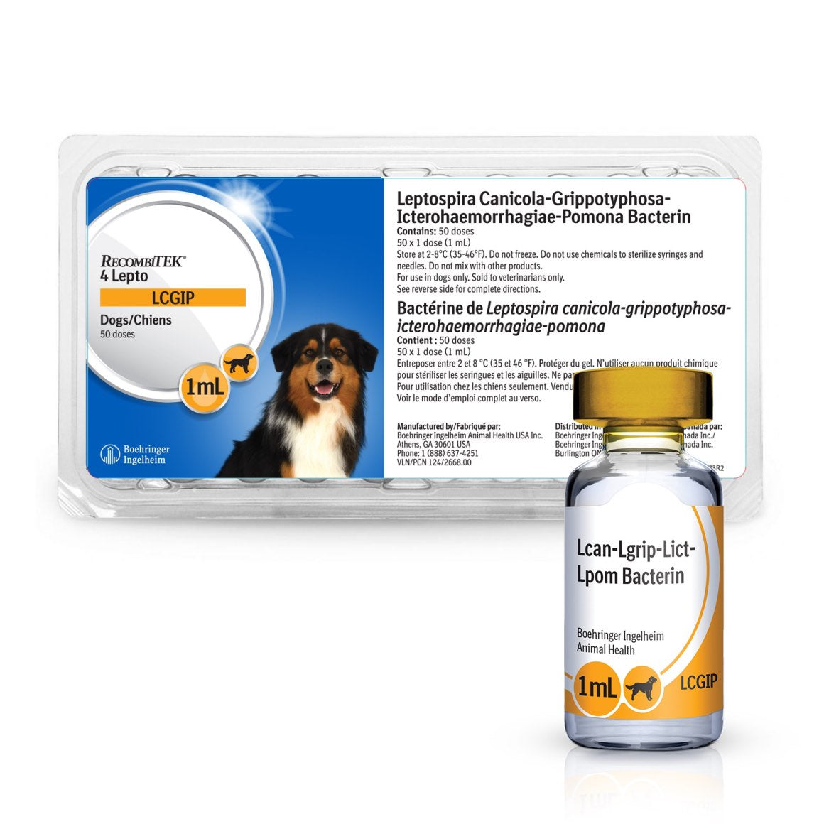Recombitek 4 Lepto