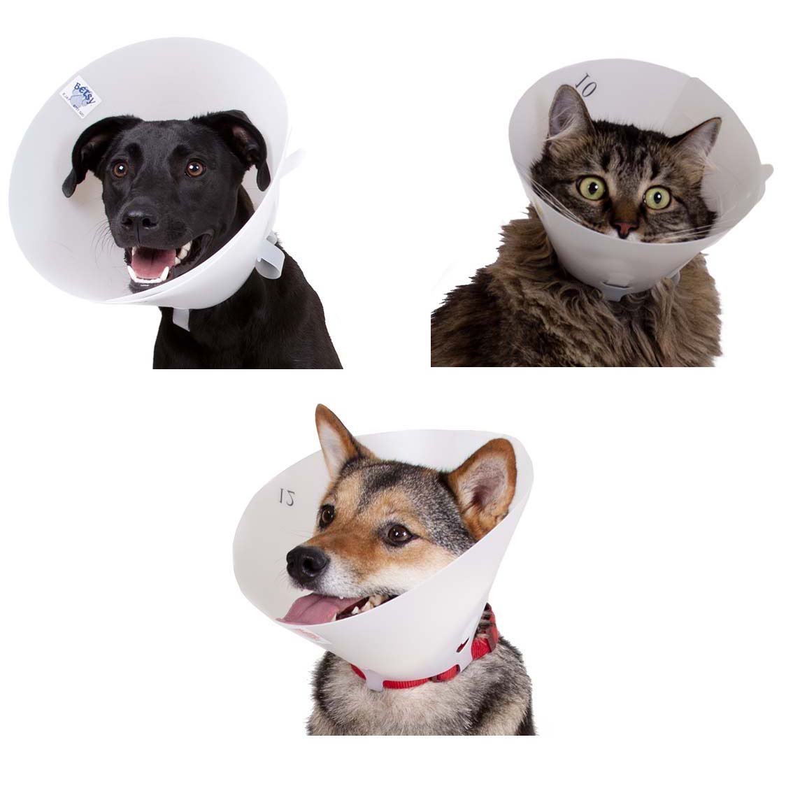 Betsy Collar Opaque