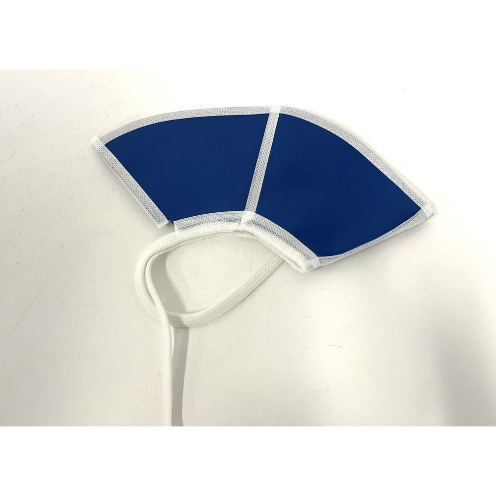 Elizabethan collar