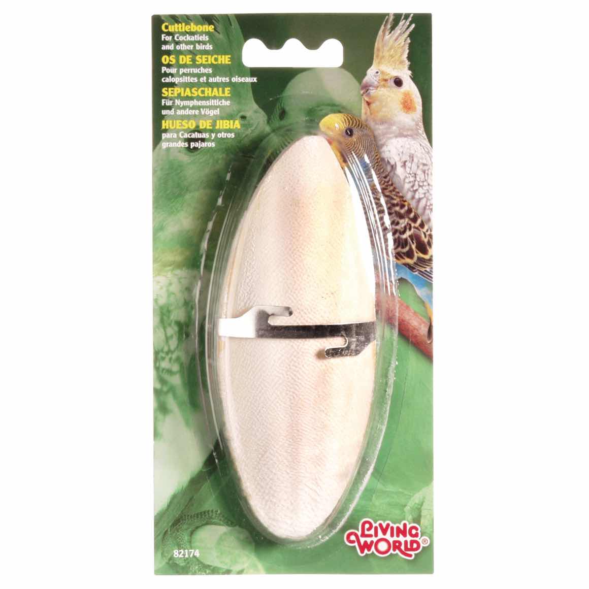 Cuttlebone and holder