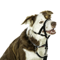 Headcollar