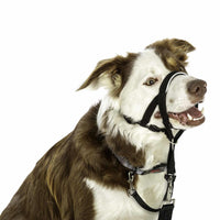 Headcollar