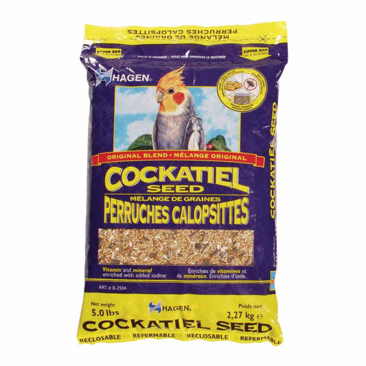 Cockatiel mix
