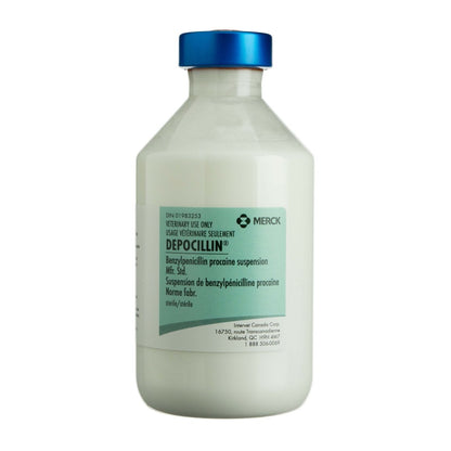 Depocillin