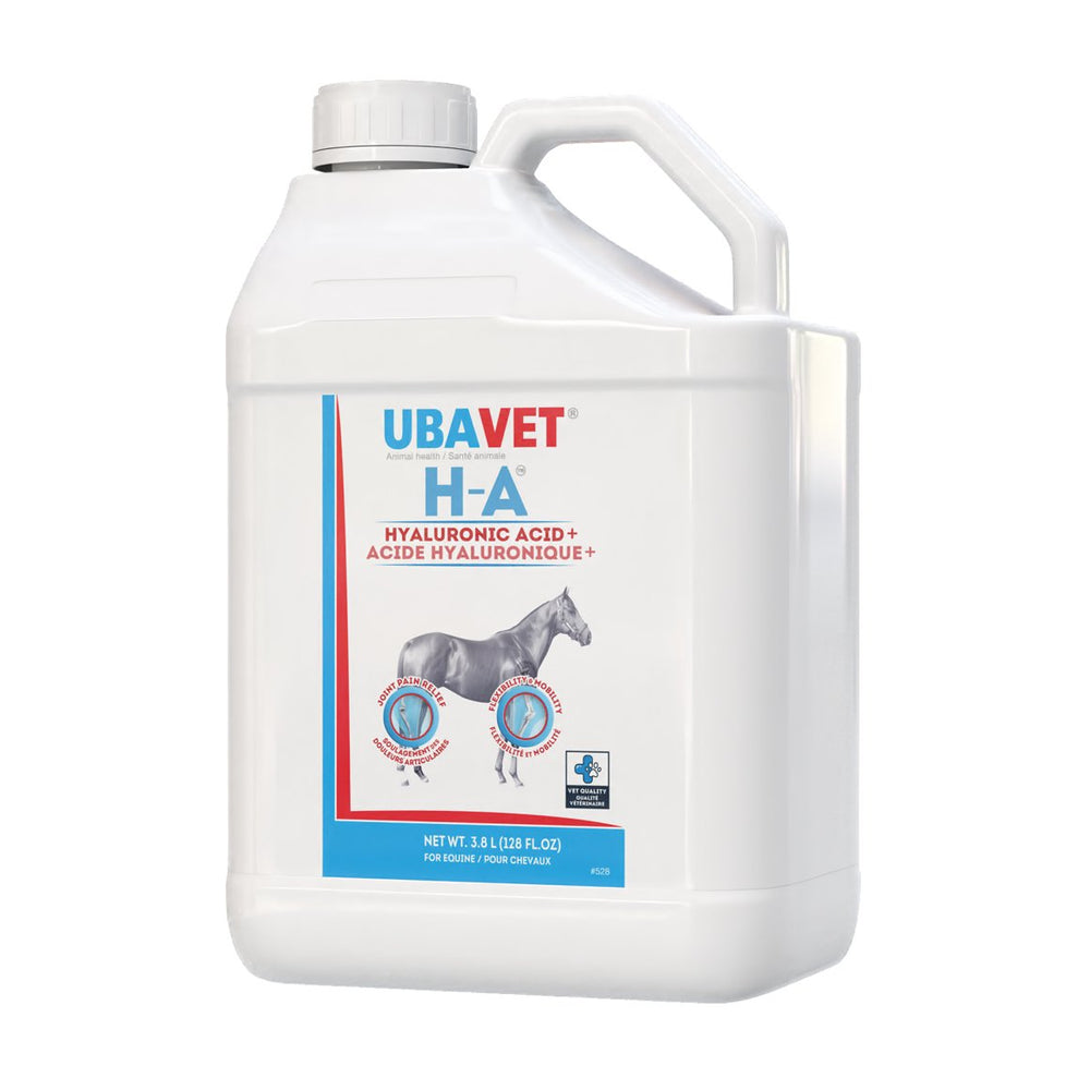 HA hyaluronic acid glucosamine HCl + green lipped mussels