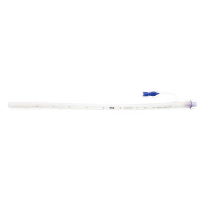 Nasotracheal tube foal