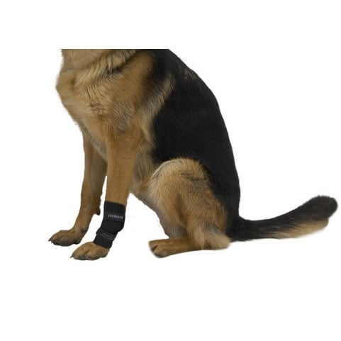 Rehab dog carpal joint protector