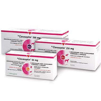 Clavaseptin chewable tablet for cats and dogs