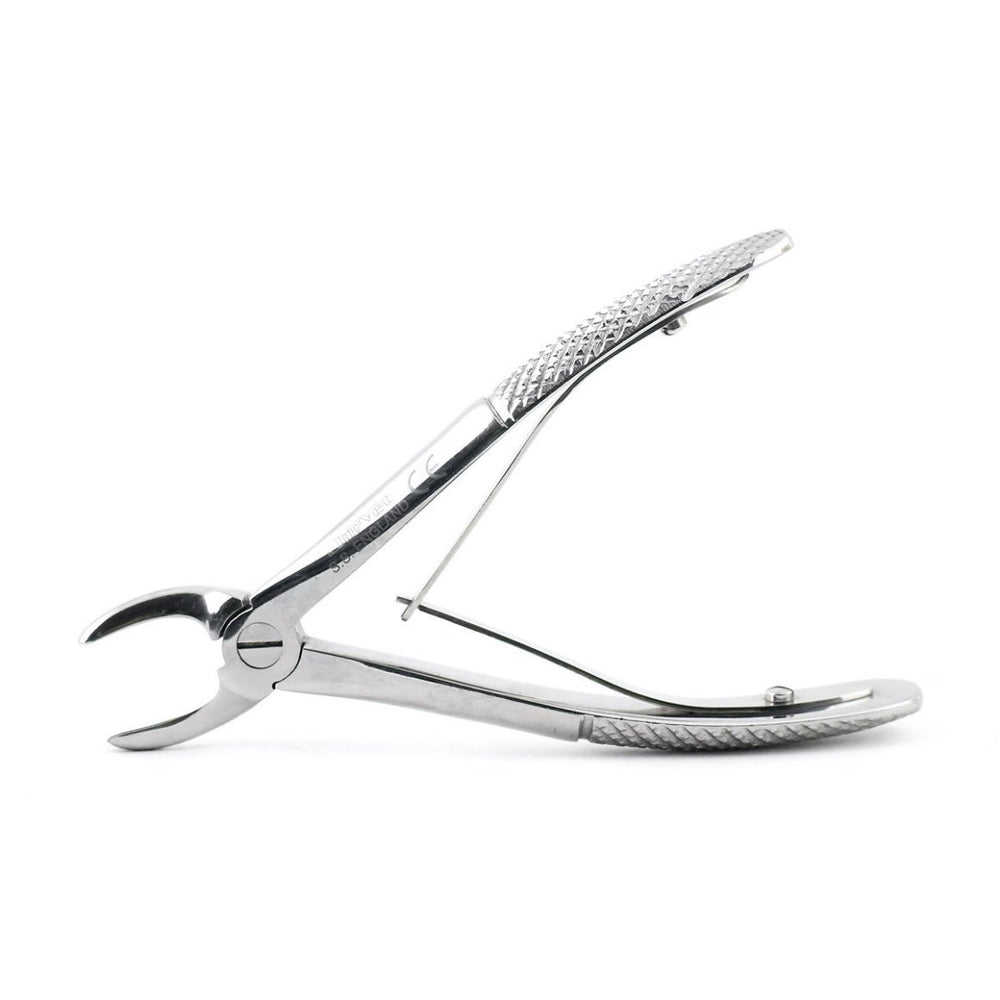 Feline dental extractor