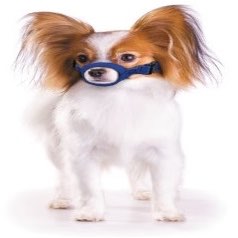 Quick Muzzle for dogs