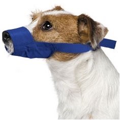 Quick Muzzle for dogs