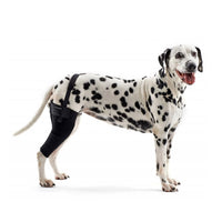 Rehab dog right knee protector