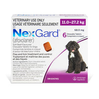 NexGard chewable tablets for dogs